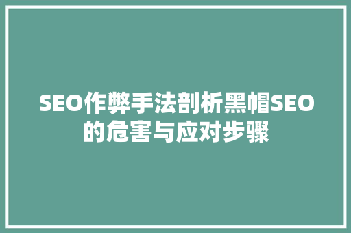 SEO作弊手法剖析黑帽SEO的危害与应对步骤