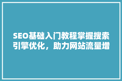 SEO基础入门教程掌握搜索引擎优化，助力网站流量增长