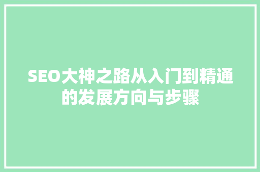 SEO大神之路从入门到精通的发展方向与步骤