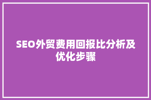 SEO外贸费用回报比分析及优化步骤