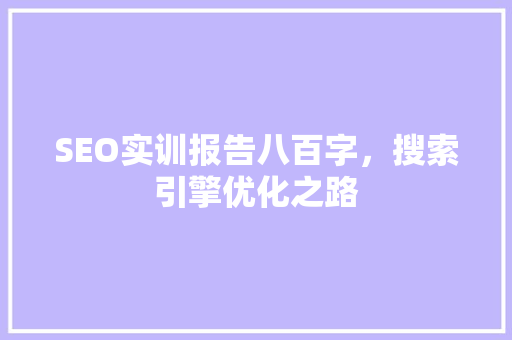 SEO实训报告八百字，搜索引擎优化之路