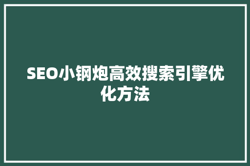 SEO小钢炮高效搜索引擎优化方法