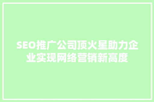 SEO推广公司顶火星助力企业实现网络营销新高度