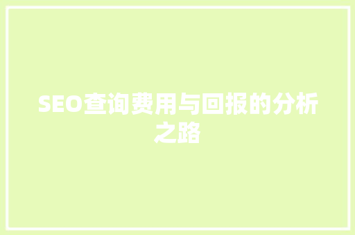 SEO查询费用与回报的分析之路