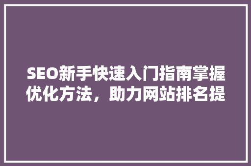 SEO新手快速入门指南掌握优化方法，助力网站排名提升