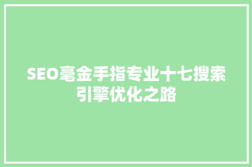 SEO毫金手指专业十七搜索引擎优化之路