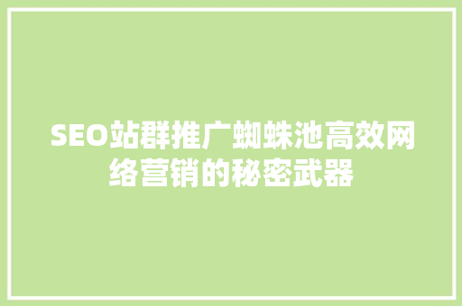 SEO站群推广蜘蛛池高效网络营销的秘密武器
