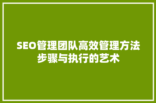 SEO管理团队高效管理方法步骤与执行的艺术