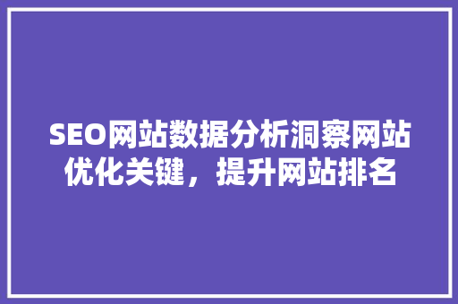 SEO网站数据分析洞察网站优化关键，提升网站排名