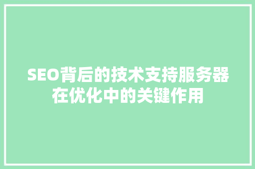SEO背后的技术支持服务器在优化中的关键作用