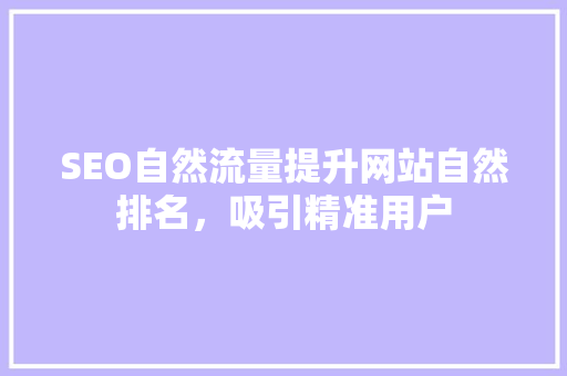 SEO自然流量提升网站自然排名，吸引精准用户