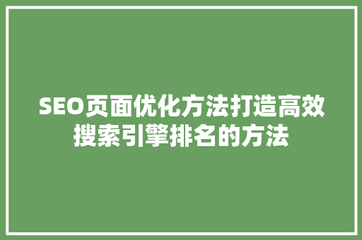 SEO页面优化方法打造高效搜索引擎排名的方法