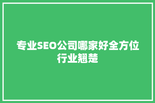 专业SEO公司哪家好全方位行业翘楚