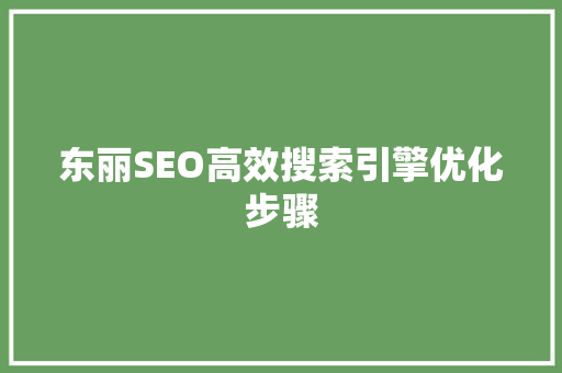 东丽SEO高效搜索引擎优化步骤