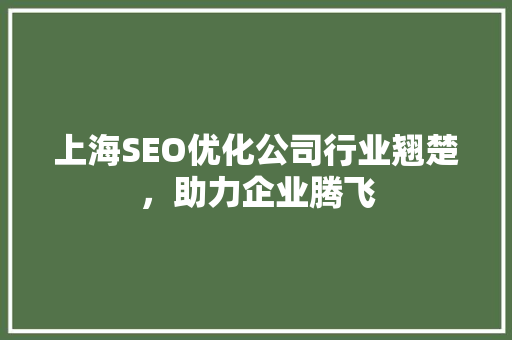 上海SEO优化公司行业翘楚，助力企业腾飞
