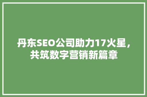 丹东SEO公司助力17火星，共筑数字营销新篇章