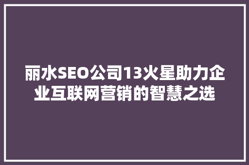 丽水SEO公司13火星助力企业互联网营销的智慧之选