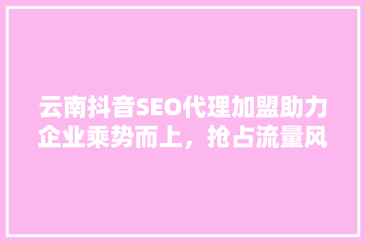 云南抖音SEO代理加盟助力企业乘势而上，抢占流量风口