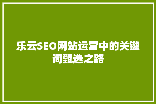 乐云SEO网站运营中的关键词甄选之路