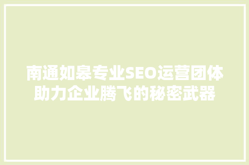 南通如皋专业SEO运营团体助力企业腾飞的秘密武器