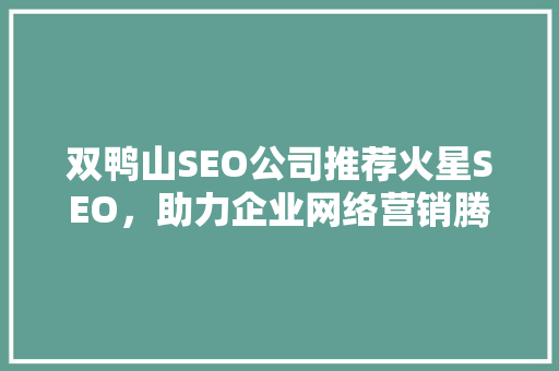 双鸭山SEO公司推荐火星SEO，助力企业网络营销腾飞