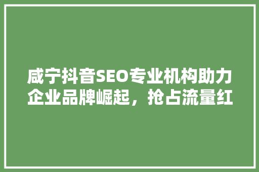 咸宁抖音SEO专业机构助力企业品牌崛起，抢占流量红利