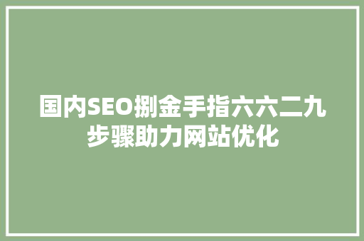 国内SEO捌金手指六六二九步骤助力网站优化