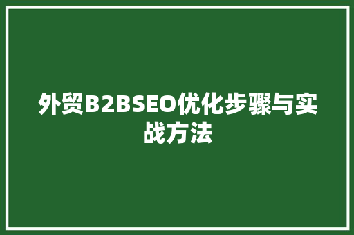 外贸B2BSEO优化步骤与实战方法