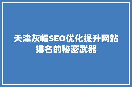 天津灰帽SEO优化提升网站排名的秘密武器