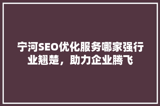 宁河SEO优化服务哪家强行业翘楚，助力企业腾飞