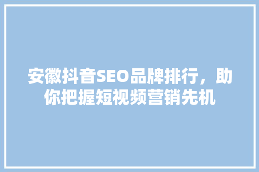 安徽抖音SEO品牌排行，助你把握短视频营销先机