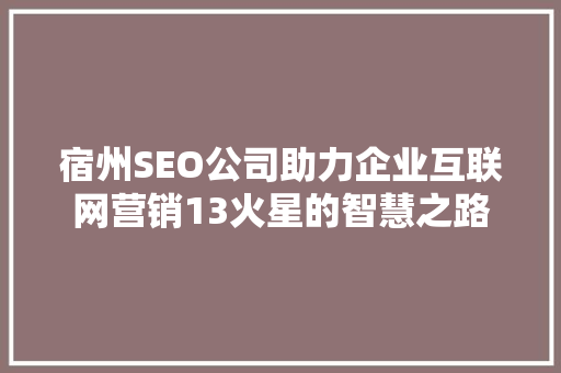 宿州SEO公司助力企业互联网营销13火星的智慧之路