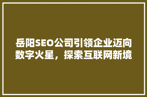 岳阳SEO公司引领企业迈向数字火星，探索互联网新境界