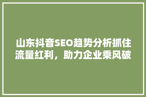 山东抖音SEO趋势分析抓住流量红利，助力企业乘风破浪