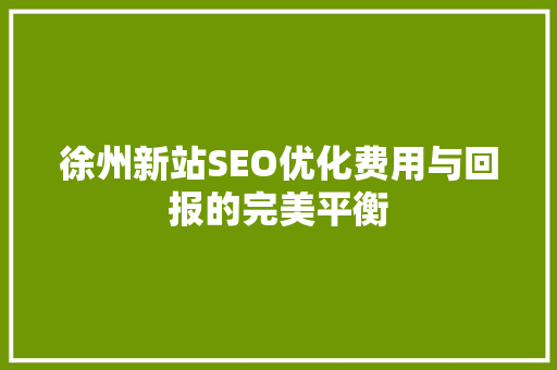 徐州新站SEO优化费用与回报的完美平衡