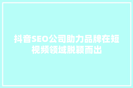 抖音SEO公司助力品牌在短视频领域脱颖而出