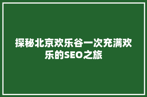 探秘北京欢乐谷一次充满欢乐的SEO之旅