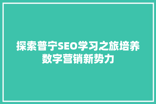 探索普宁SEO学习之旅培养数字营销新势力