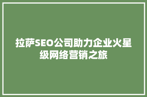 拉萨SEO公司助力企业火星级网络营销之旅