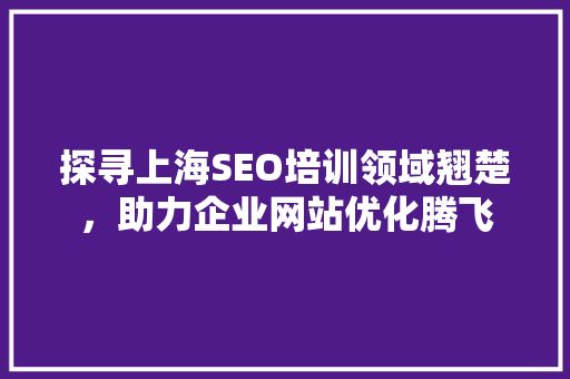 探寻上海SEO培训领域翘楚，助力企业网站优化腾飞