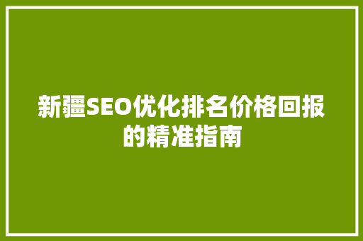 新疆SEO优化排名价格回报的精准指南