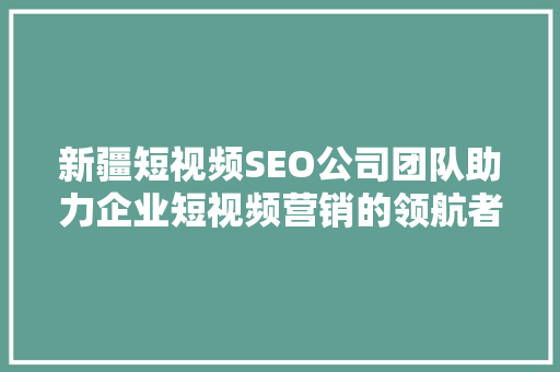 新疆短视频SEO公司团队助力企业短视频营销的领航者