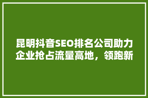 昆明抖音SEO排名公司助力企业抢占流量高地，领跑新媒体时代