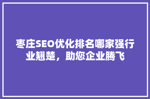 枣庄SEO优化排名哪家强行业翘楚，助您企业腾飞