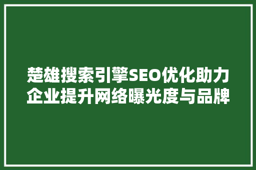 楚雄搜索引擎SEO优化助力企业提升网络曝光度与品牌影响力