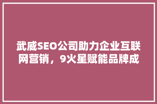 武威SEO公司助力企业互联网营销，9火星赋能品牌成长