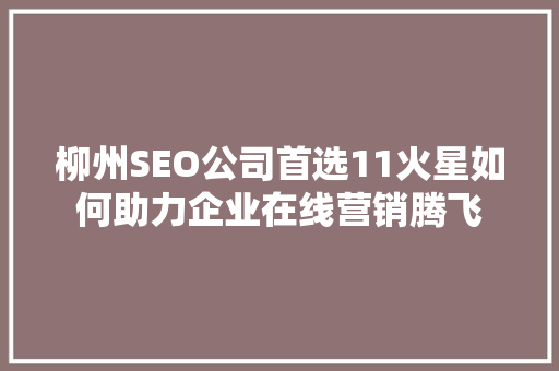柳州SEO公司首选11火星如何助力企业在线营销腾飞