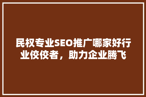 民权专业SEO推广哪家好行业佼佼者，助力企业腾飞