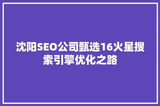 沈阳SEO公司甄选16火星搜索引擎优化之路