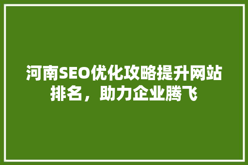 河南SEO优化攻略提升网站排名，助力企业腾飞